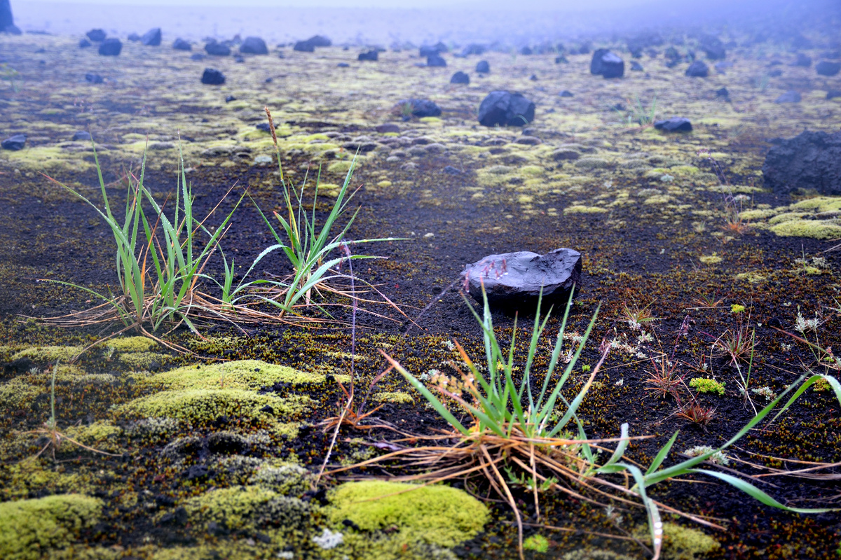 Камчатка, вулкан Толбачик. Фото автора