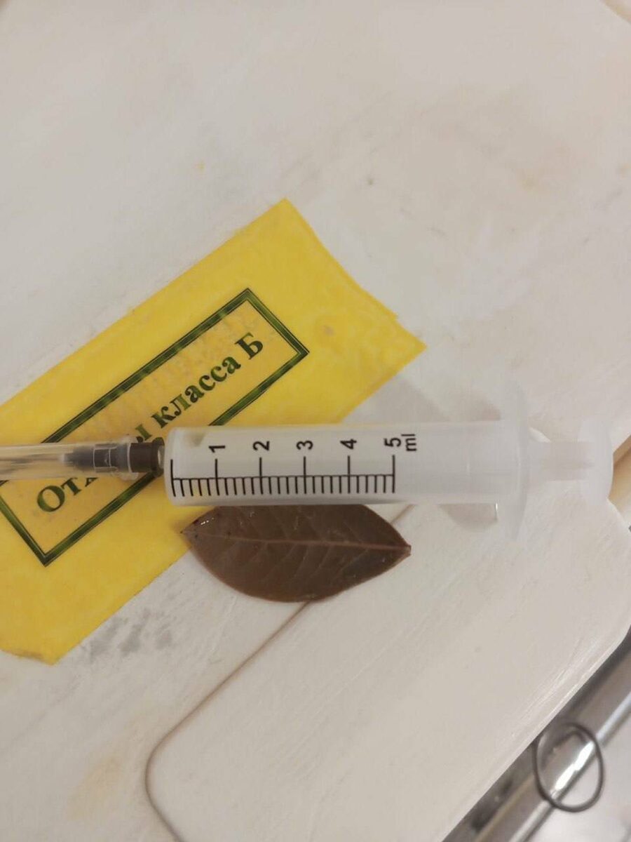 Фото: © НЦРМБ