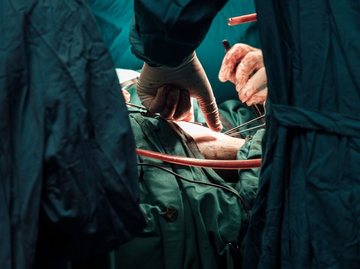     / Источник: © Niyaz Galiev/Global Look Press