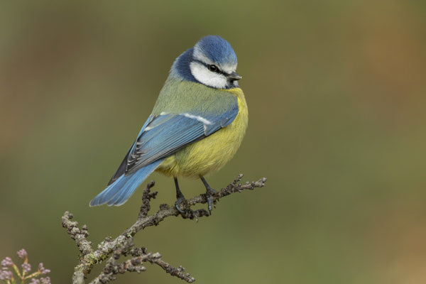     Фото: freepik.com