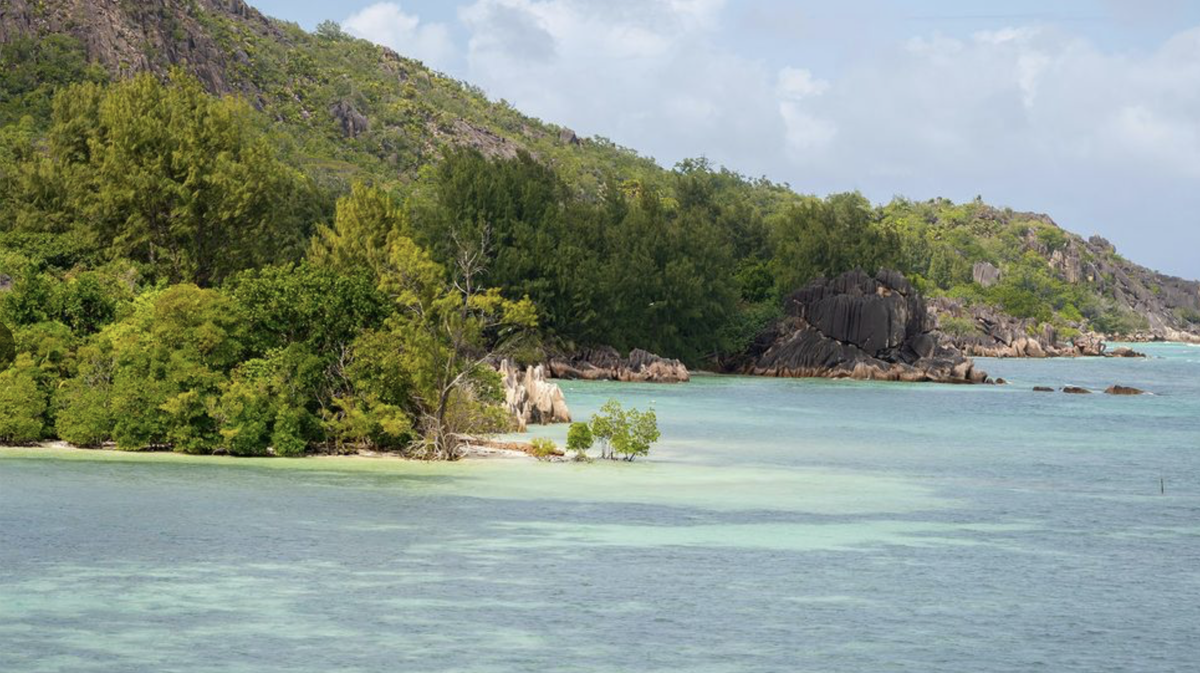 Фото взято из открытого источника