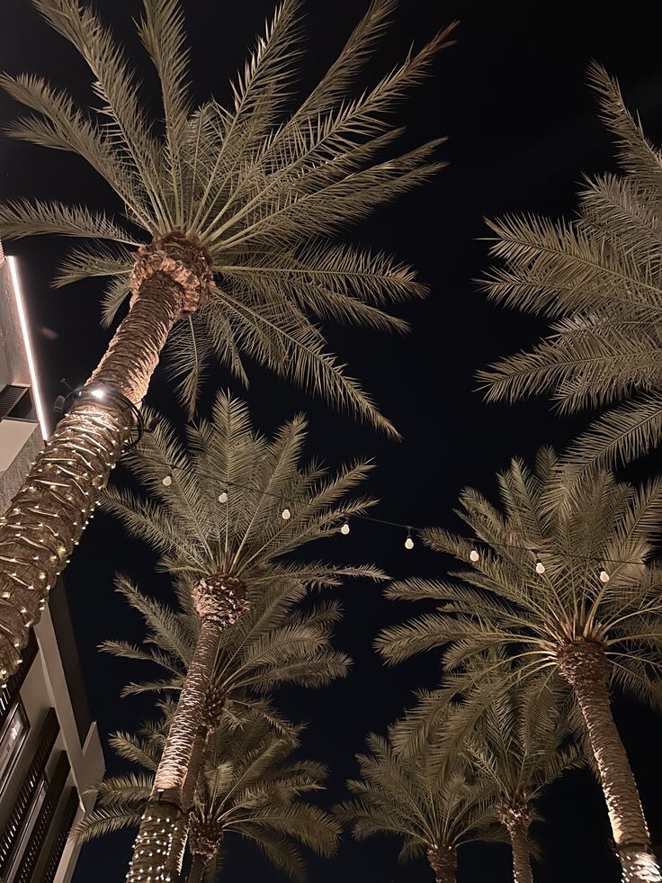 Вечерняя Эль Фуджайра