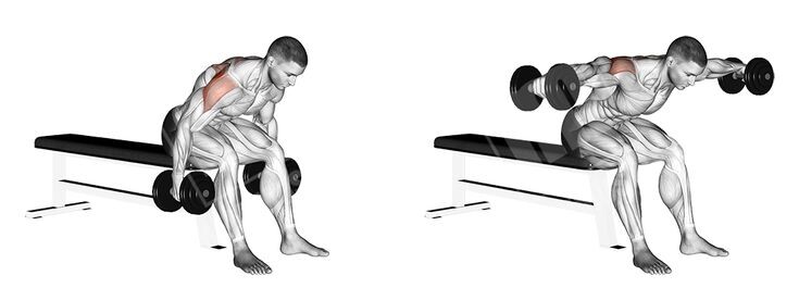 Махи гантелями в наклоне