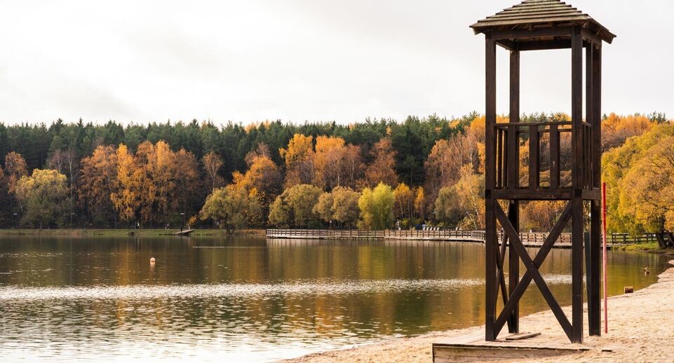    Медиасток.РФ