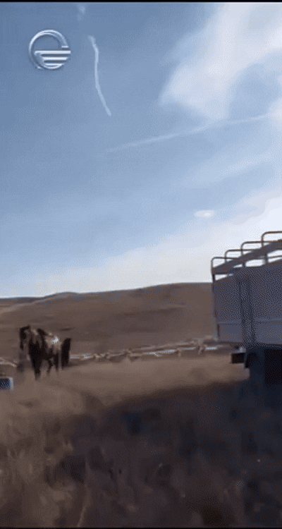  Видео: Telegram/Воевода Вещает