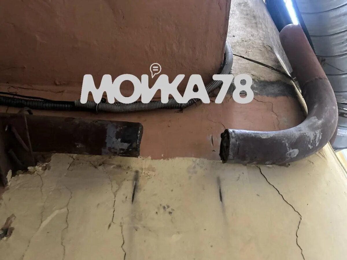    Фото: читательница Мойки78