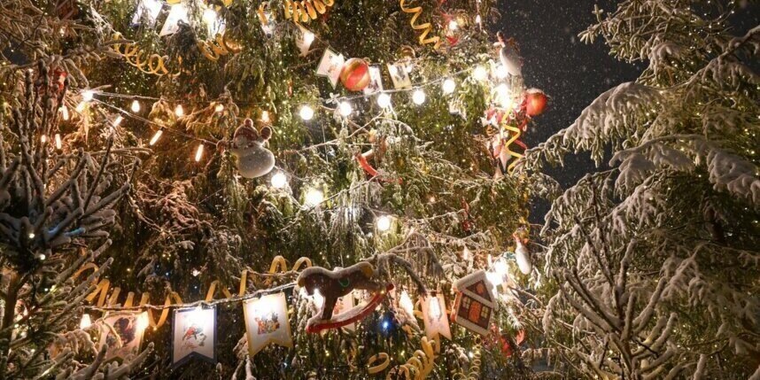    Игорь Акимов