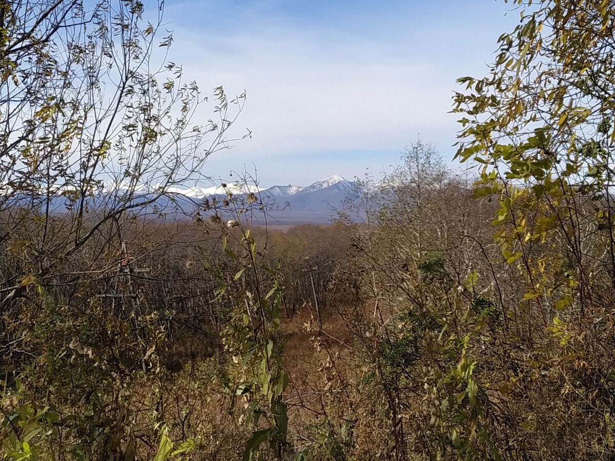 Делюсь видами с Камчатки