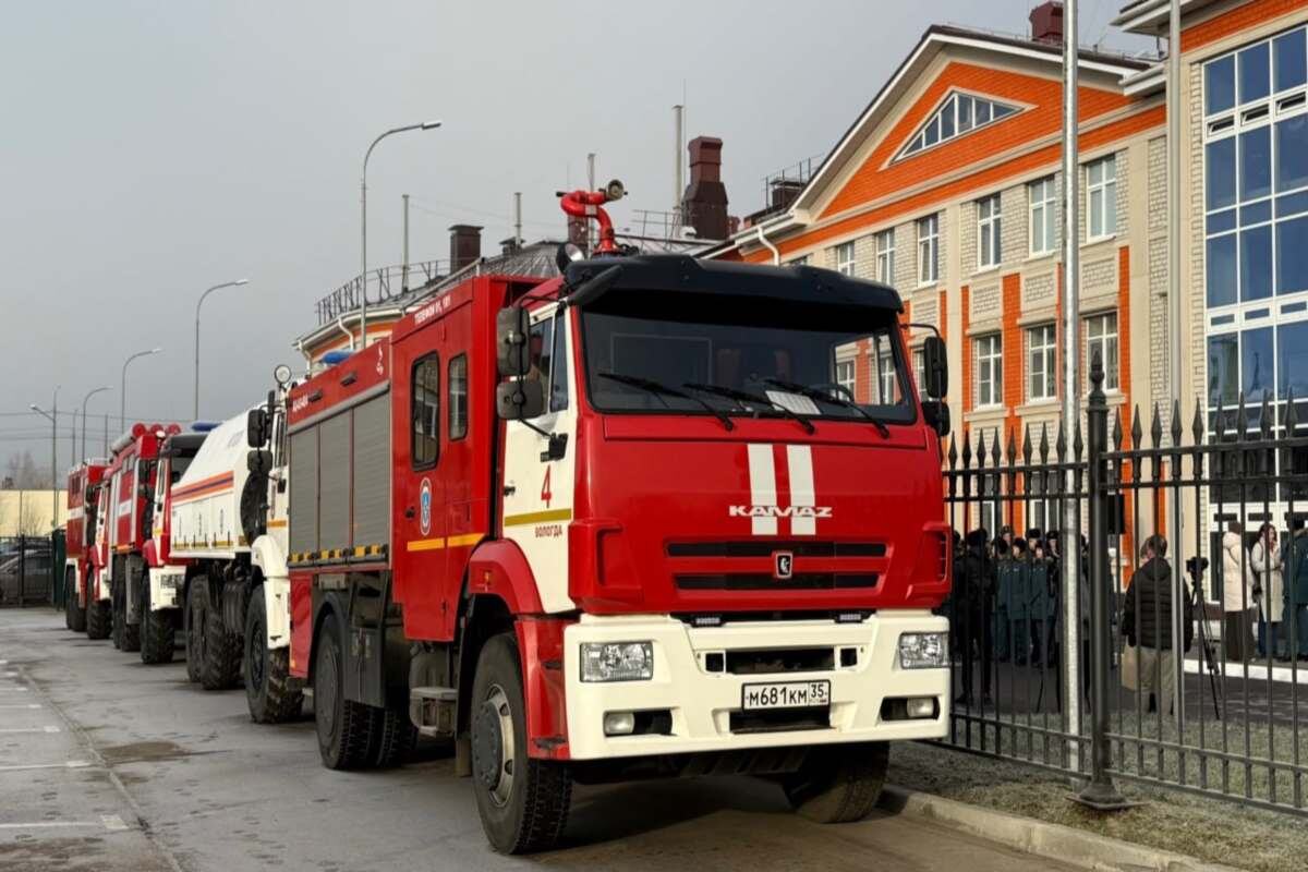    Фото: тelegram-канал "ВЕСТИ35.РФ", источник: newsvol.ru