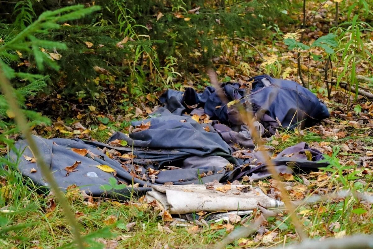    Суд запретил размещать отходы в лесу под Шенталой