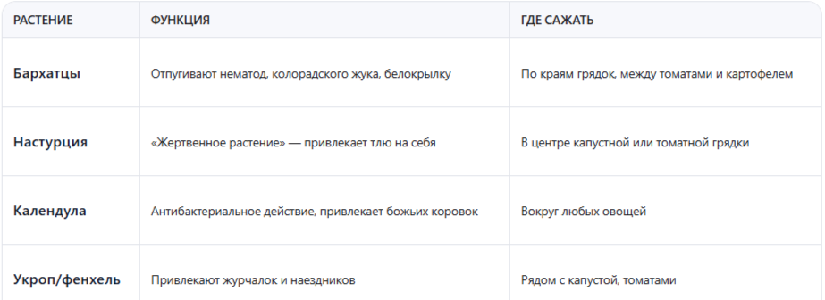 Эти растения работают везде и решают ключевые задачи:
