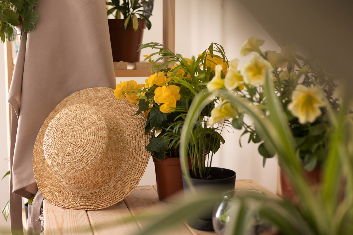 Источник: ru.freepik.com