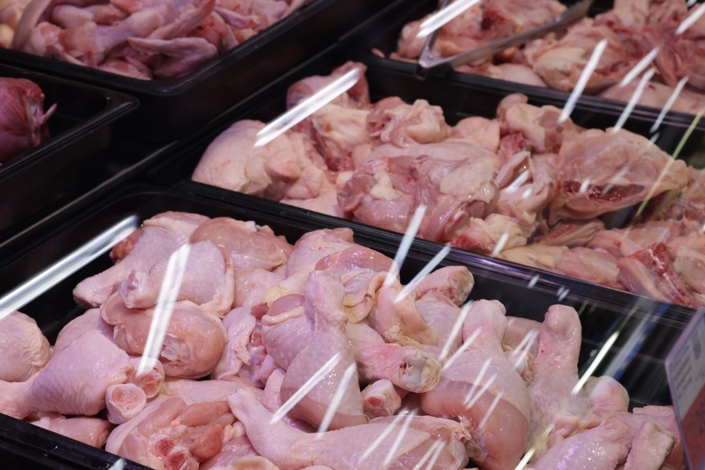    Фото © Анастасия Романова / Абзац