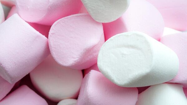    © Getty Images / Moussa81