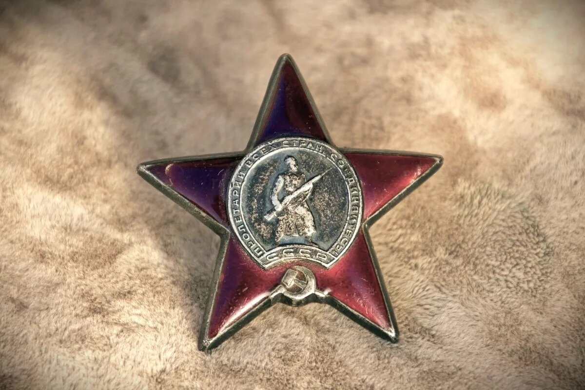    Обнаруженный под Бежаницами Орден Красной Звезды передадут потомка солдата