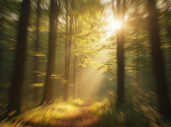 Инструкция по созданию размытого фото в Peachy