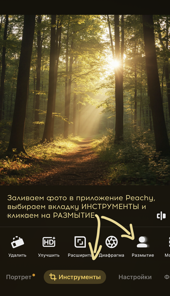 Инструкция по созданию размытого фото в Peachy