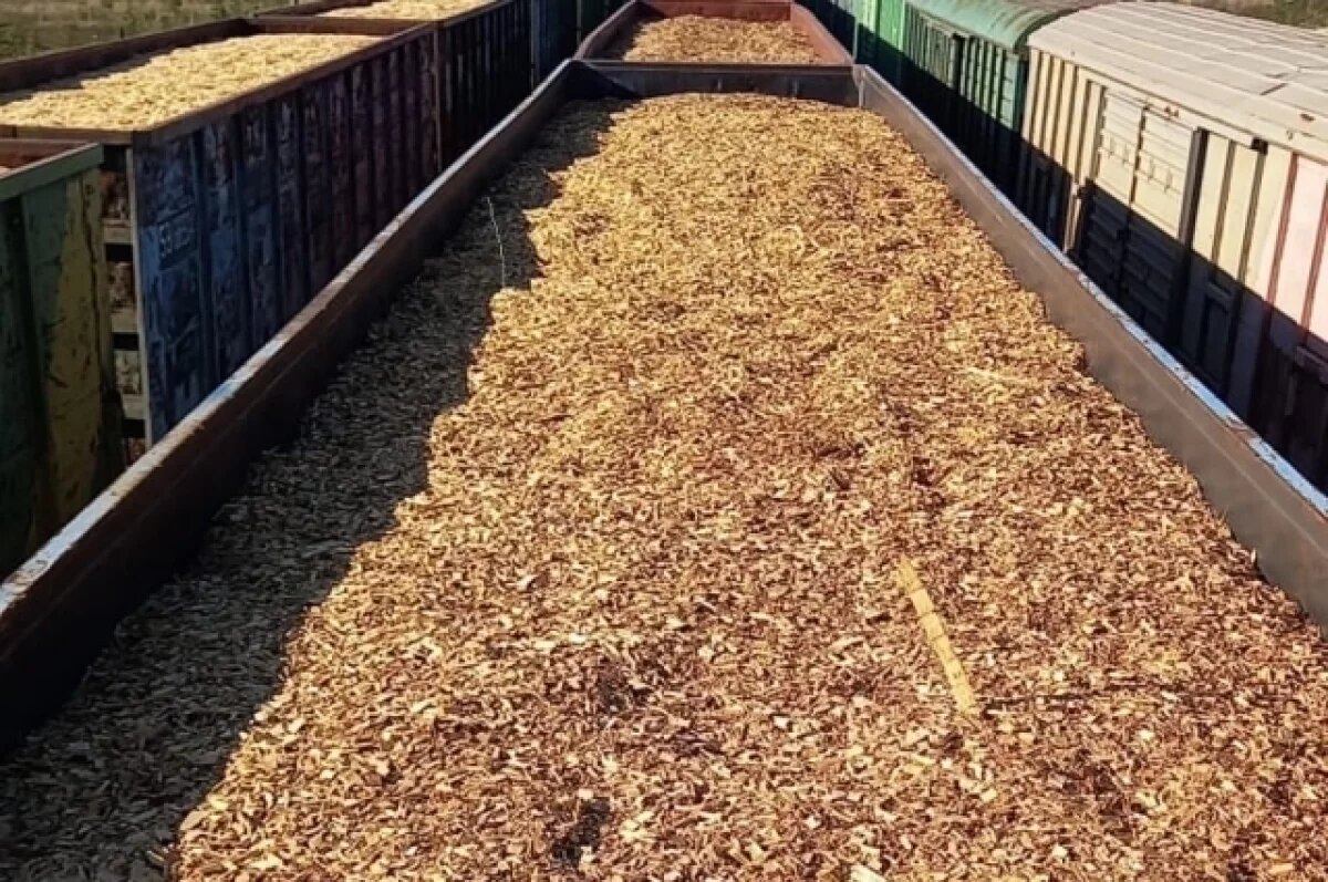    В Калужскую область ввезли более 196 тысяч кубометров щепы и лесоматериалов