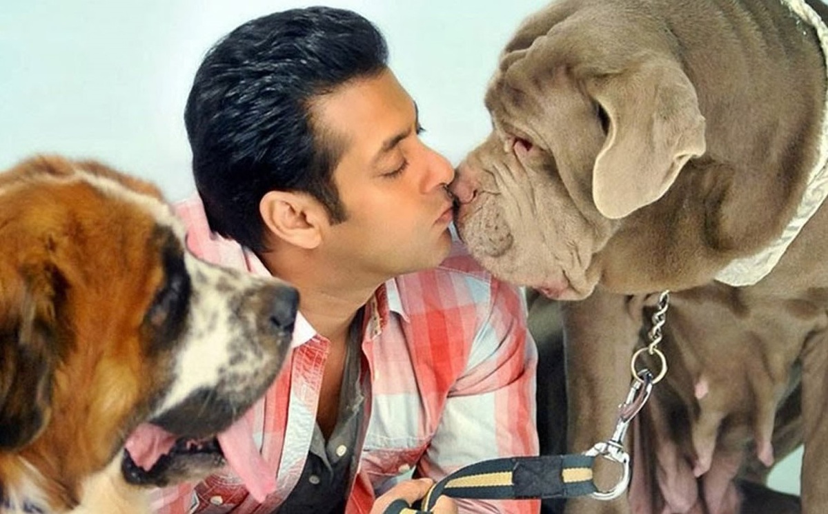 из доступных источников