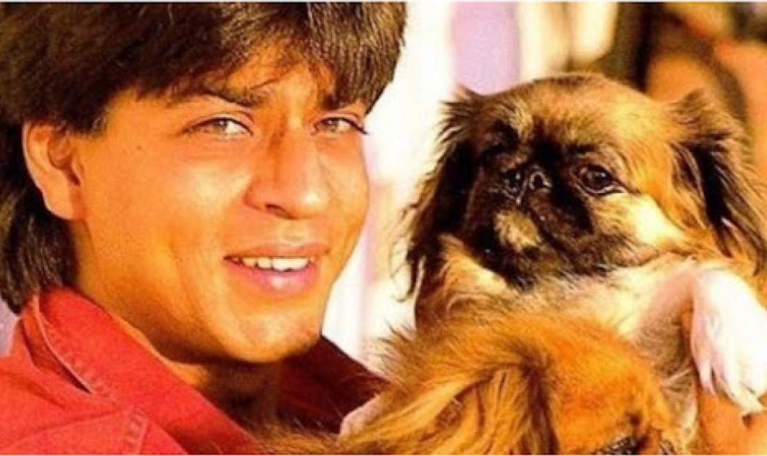 из доступных источников