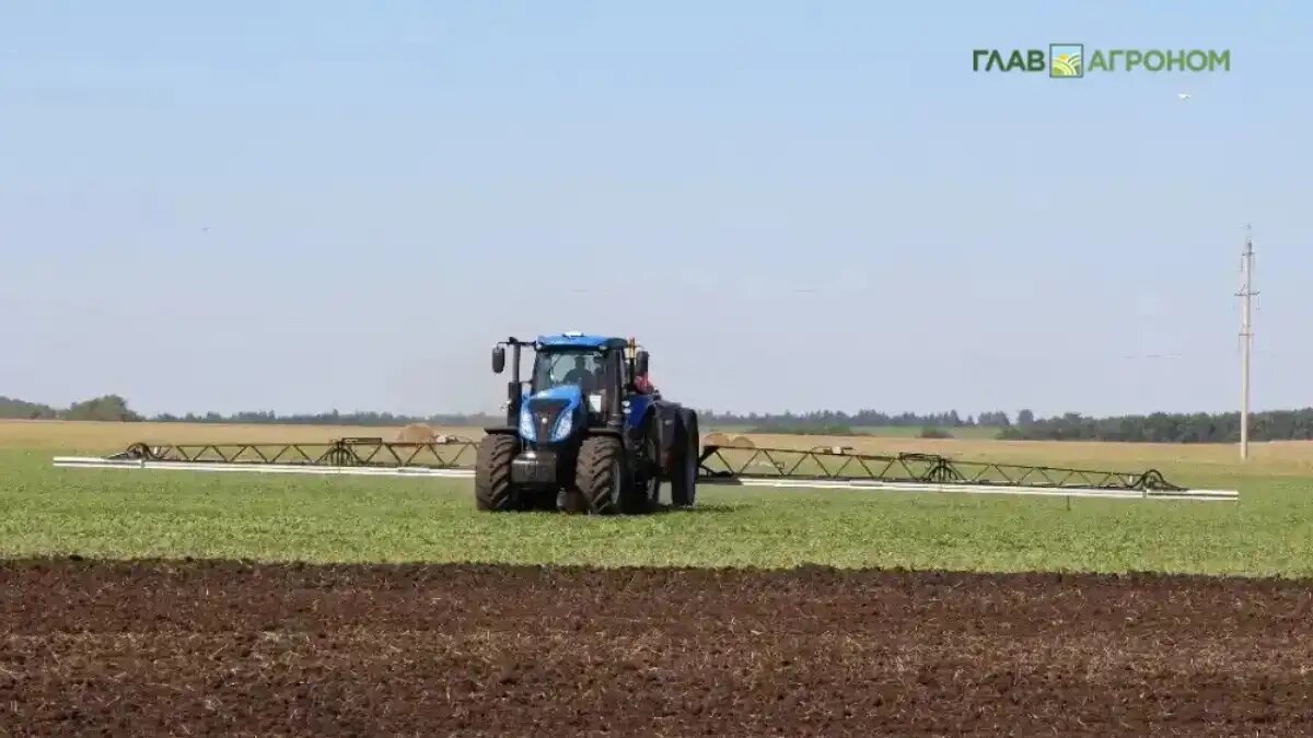 Фото:© Владимир Исаенко / Glavagronom.ru
Комитет Госдумы одобрил повышение штрафов за неправильное обращение с пестицидами