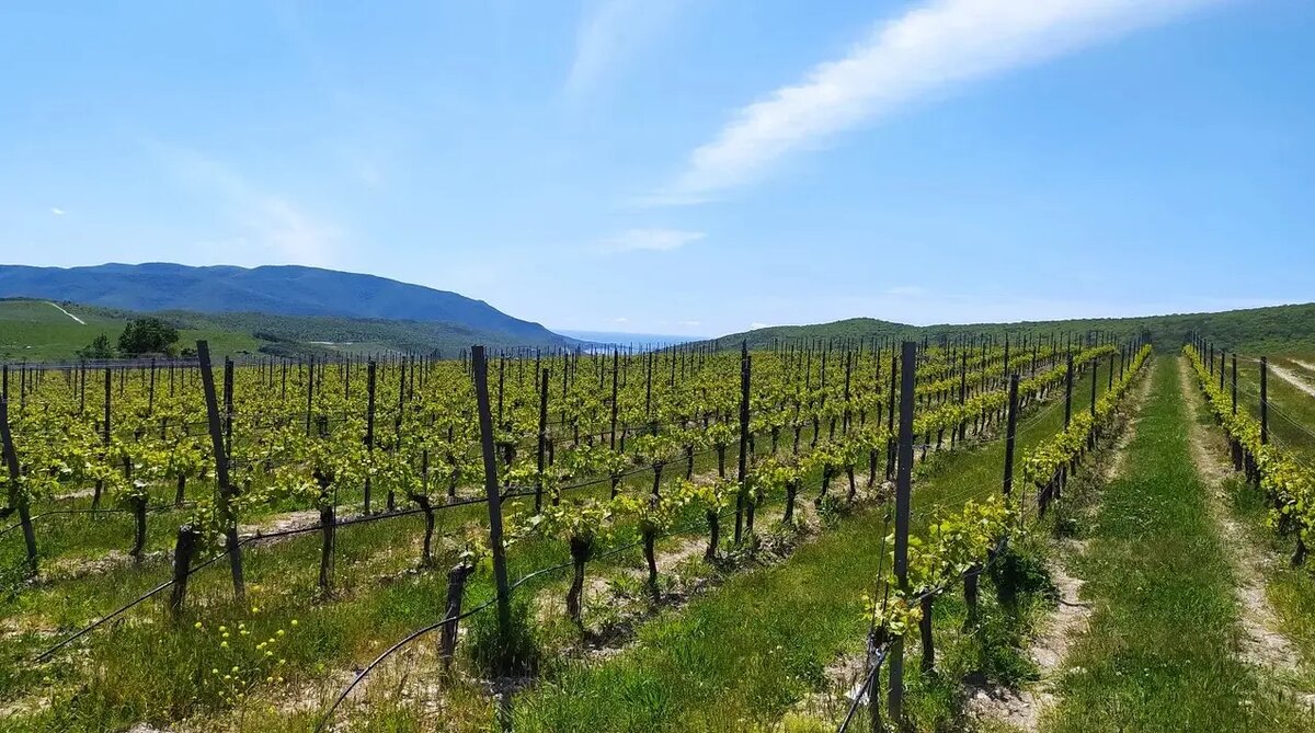     ©Интерфакс. Григорий Колпаков