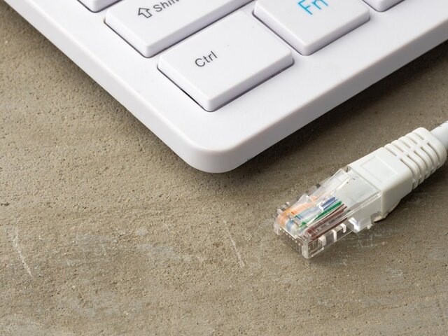    Фото: 123RF.com/fabrikacrimea