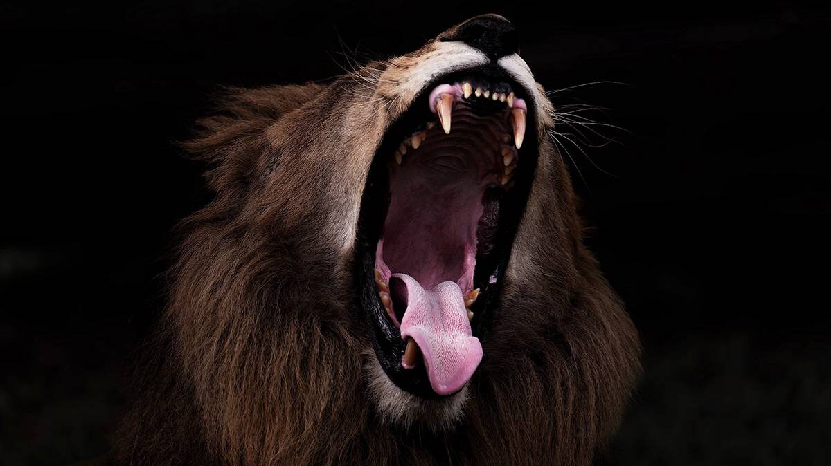    Фото: Shutterstock