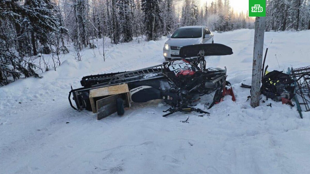    Фото: mvd_24 / t.me