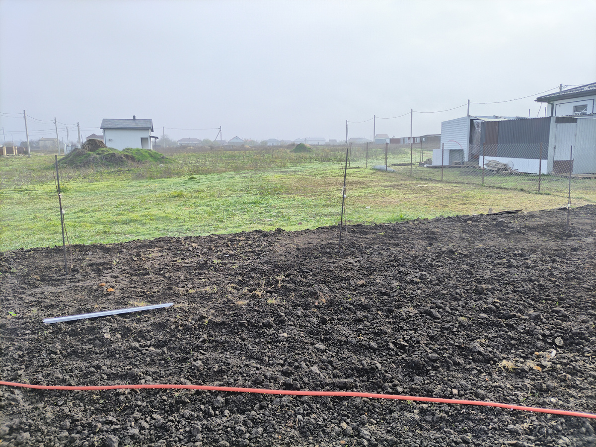 Построил дом, родил сына и посадил дерево