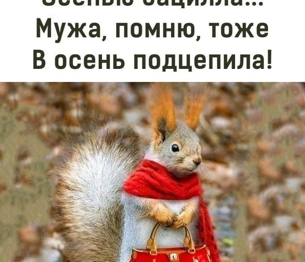 ДОБРЫЙ ЮМОР В КАРТИНКАХ