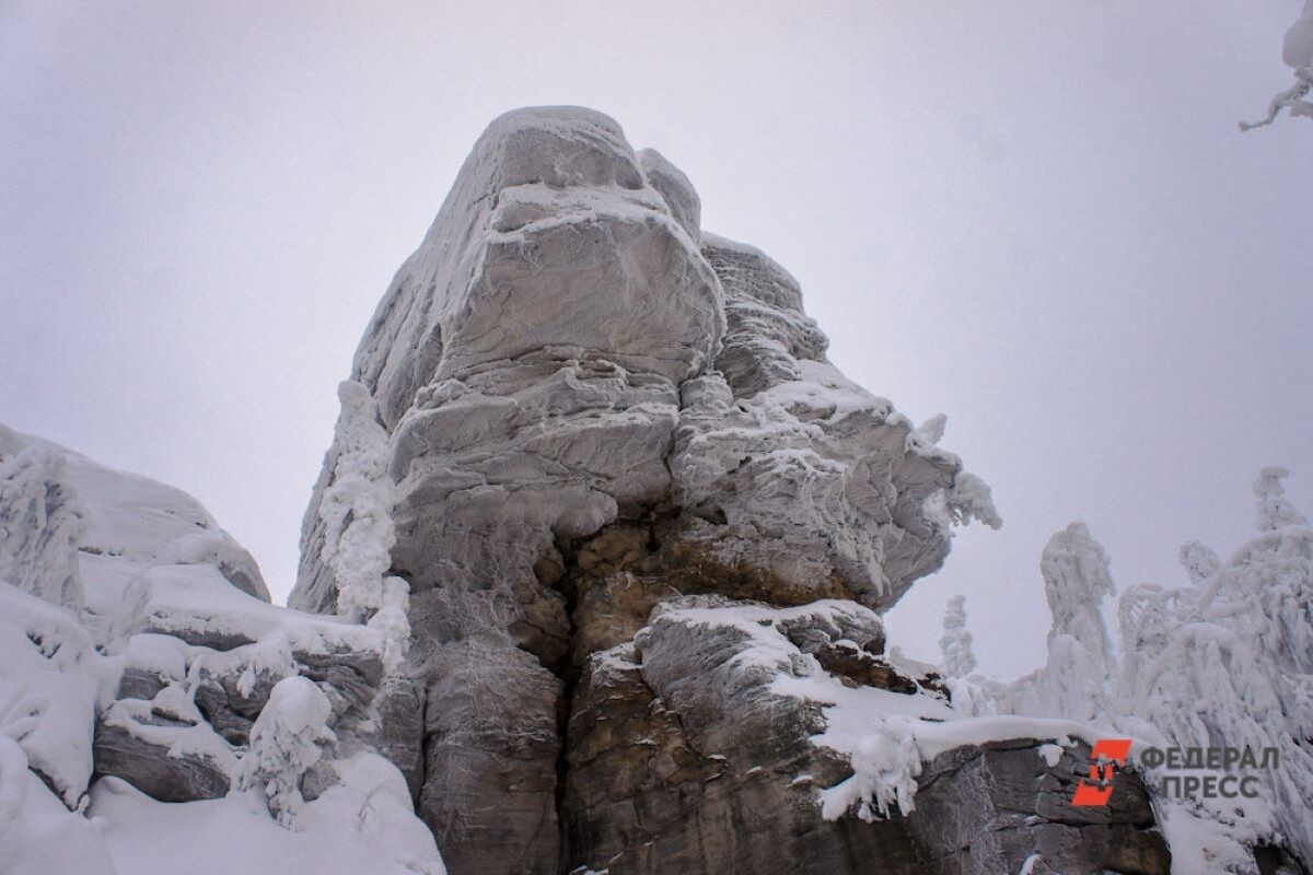 фото: яндекс.