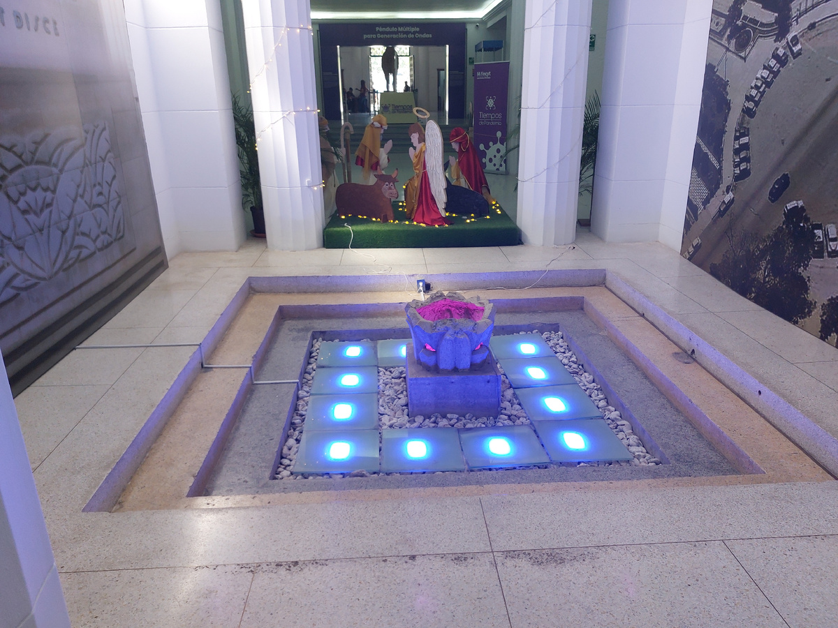 Фауна Венесуэлы. Все фото автора.