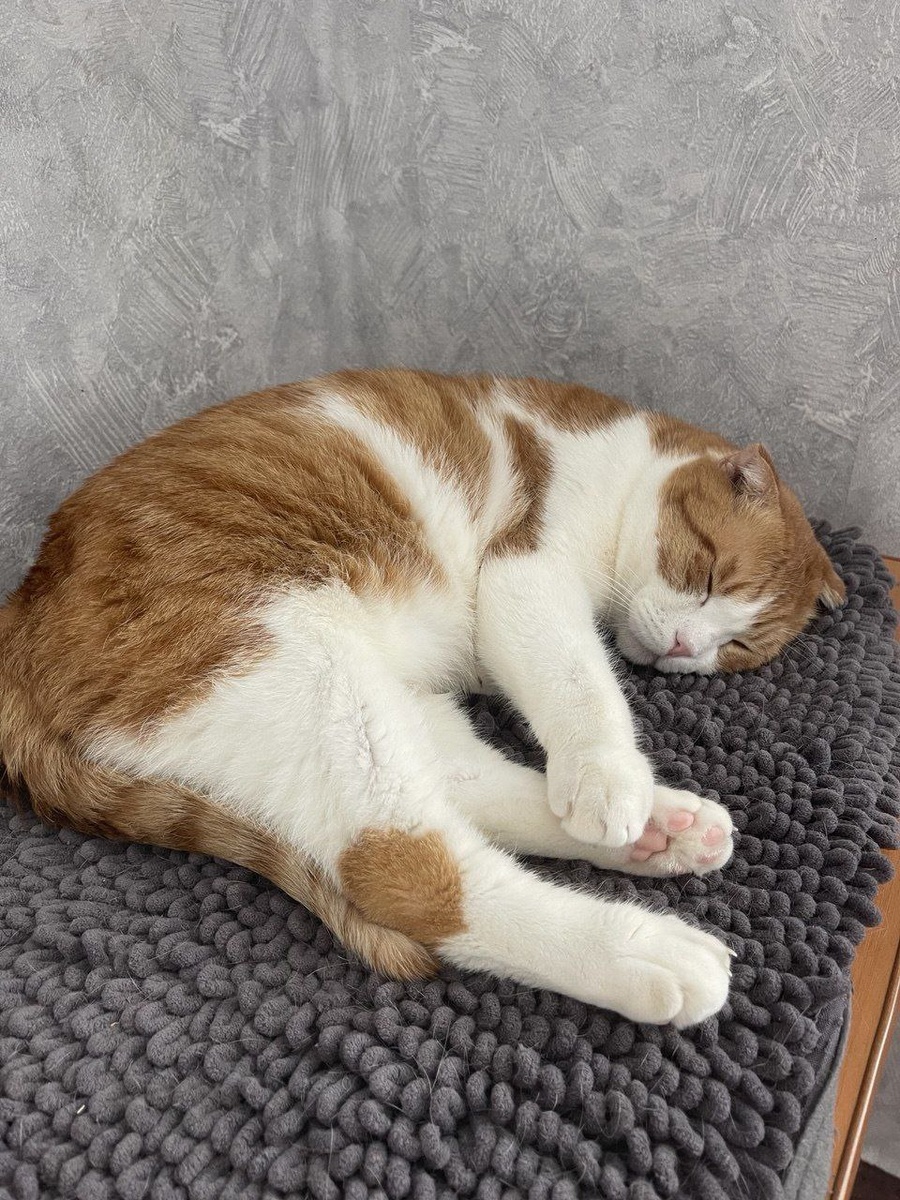 Мне снился чак-чак - это был вещий сон