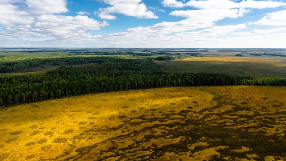     Фото: Dmitriy Kandinskiy/Shutterstock/FOTODOM