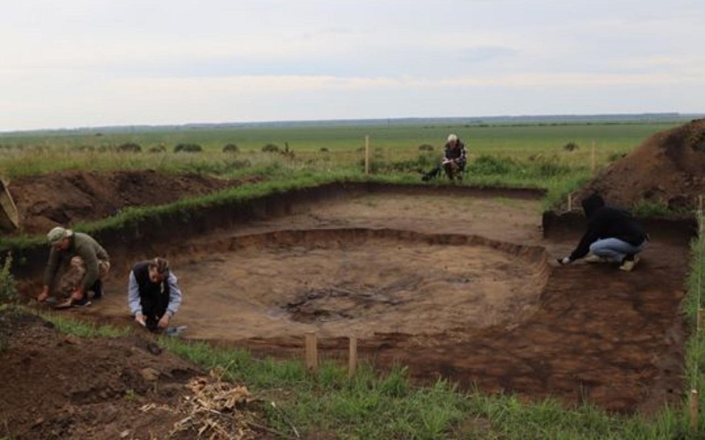     Фото: Новосибирский государственный педагогический университет