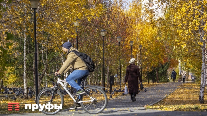    Фото: Пруфы