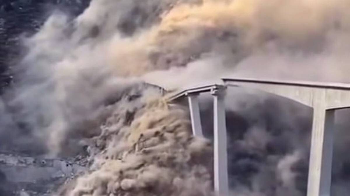    Фото: Соцсети