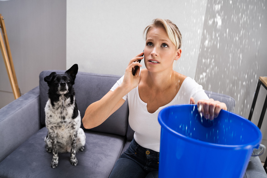    Shutterstock/FOTODOM