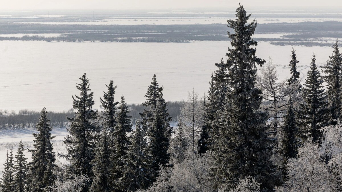    Фото: Александр Чирва / «Ямал-Медиа»