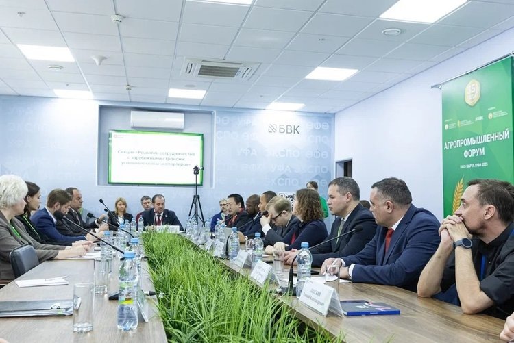    Фото: АгроКомплекс/AgroComplex