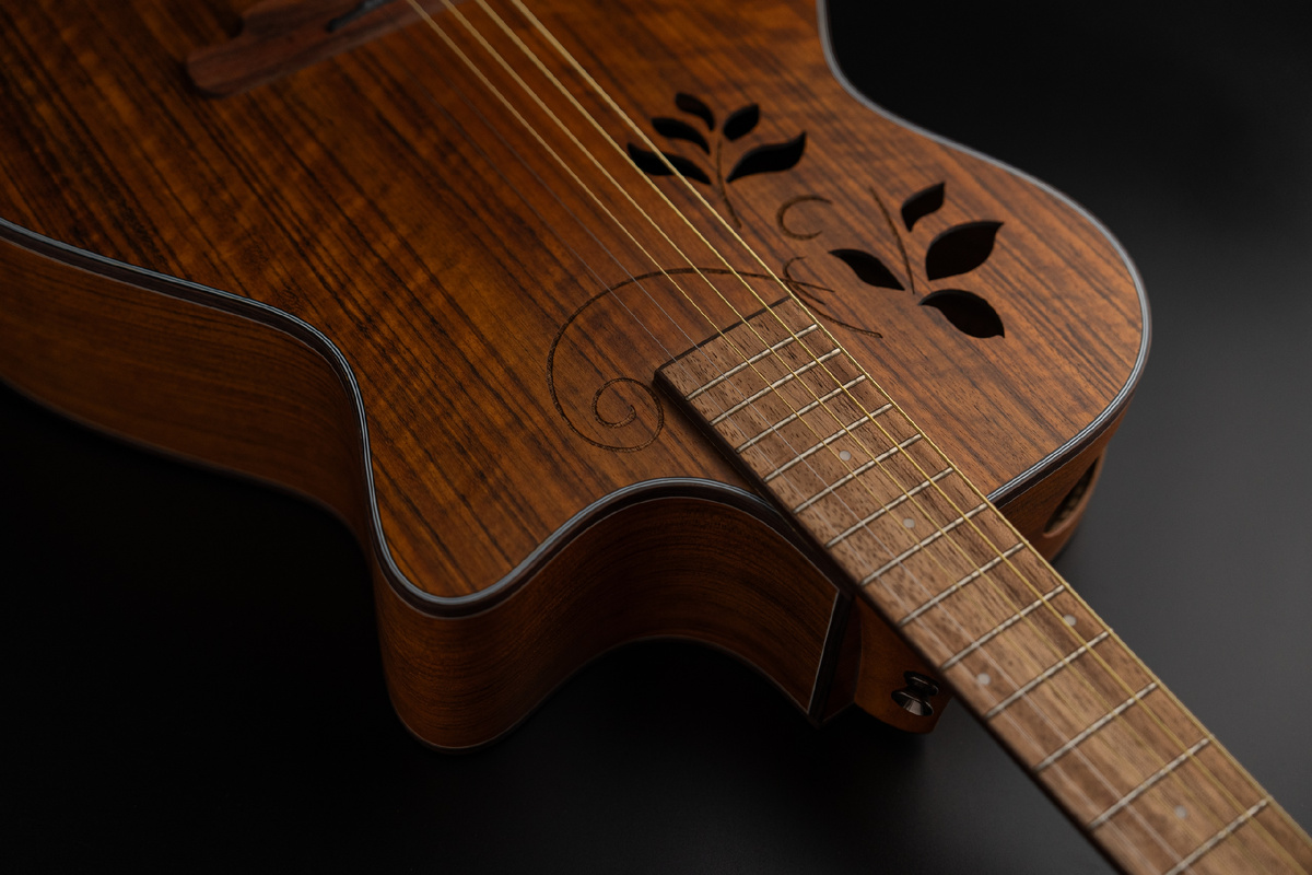  Акустическая гитара SQOE SQ-I