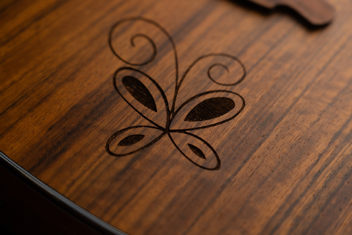  Акустическая гитара SQOE SQ-I