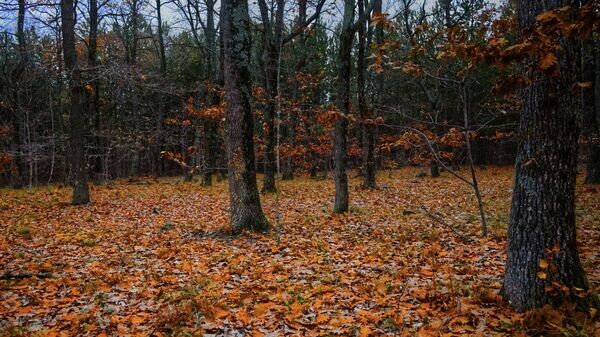    © unsplash / Neven Myst