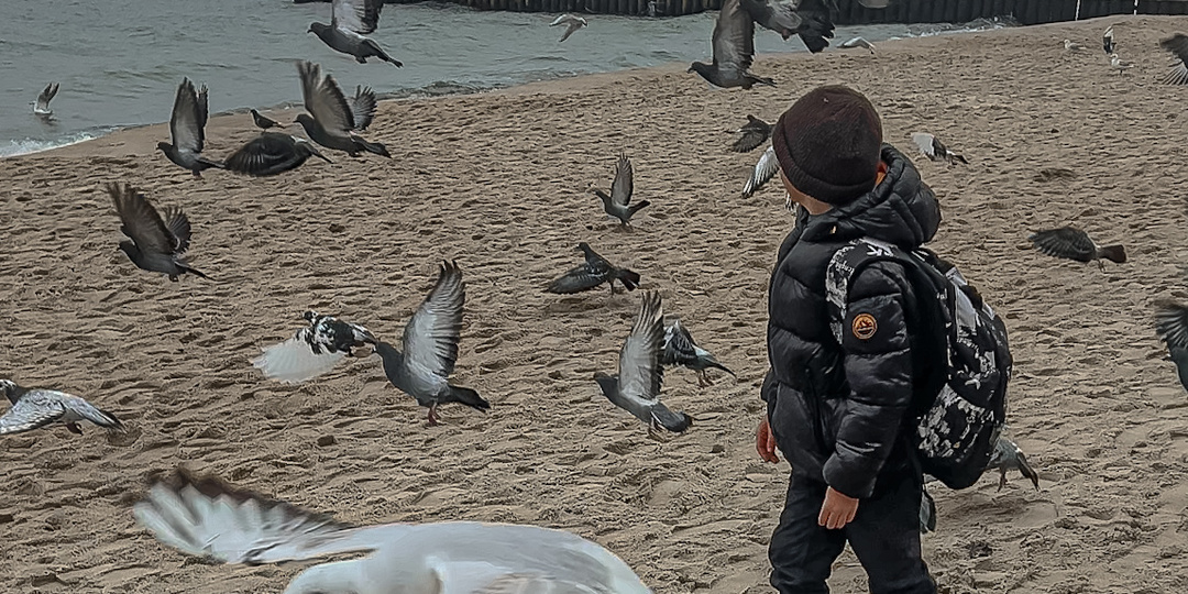 Хроники Зеленоградска: как съесть крендель и не попасть в чайкину драму