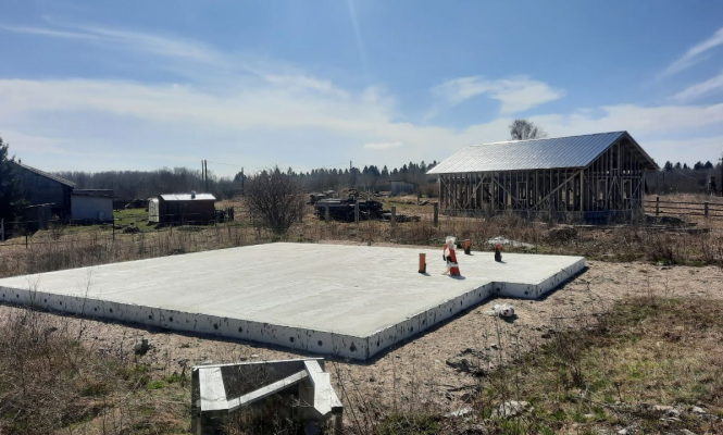    фото: © Наталья Ладин