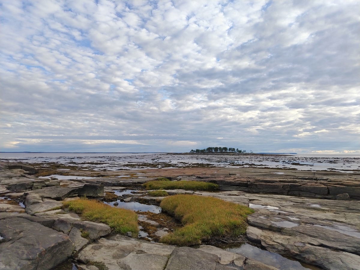 Кий-остров стал обитаемым благодаря патриарху Никону в XVII веке. Фото: Арина МИФТАХУТДИНОВА