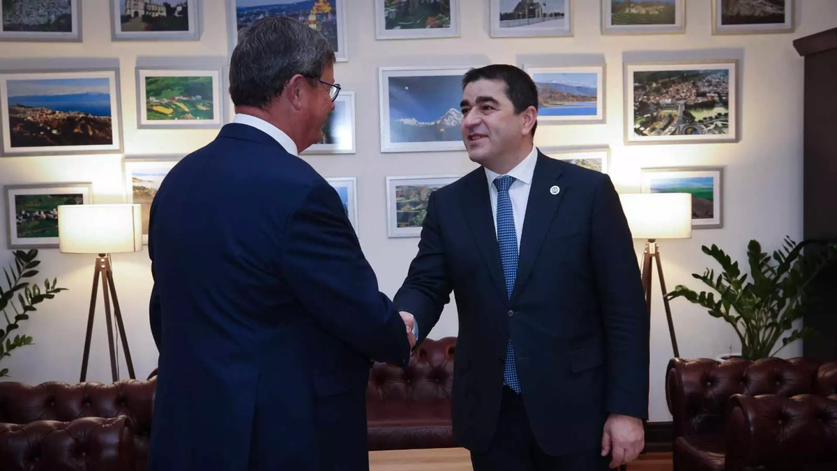 © Courtesy of Parliament of Georgia