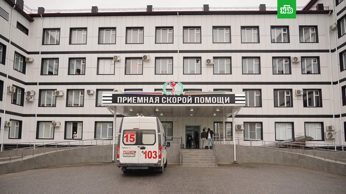    Фото: @AdamAlkhanovR95 / t.me