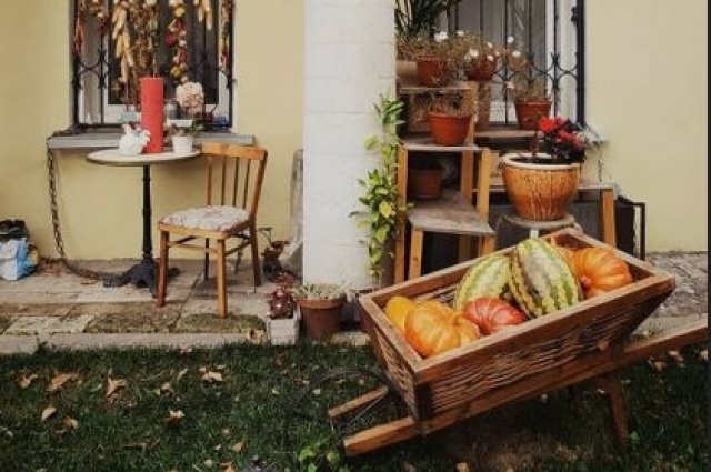    Фото: АиФ/ Юлия Николаи